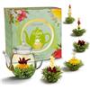 Creano Set Regalo di Fiori di Tè - FLOWER DESIGN - raccolto primaverile con Teiera in Vetro da 500 ml e 6 Fiori di Tè al Tè Verde - Regalo per Pasqua e la Festa della Mamma