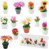 UHOMENY 11 mini vasi di fiori bouquet piante in vaso piccolo giardino fatato casa delle bambole kit di accessori floreali per artigianato fai da te fiori in miniatura figurine vasi per piante finte auto torta