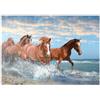 MyPuzzle.com MyPuzzle Bellissimi Cavalli Che Corrono Nel Mare Sulla Spiaggia - Premium 500 Pezzi Puzzle - MyPuzzle Collezione speciale di Puzzle Galaxy