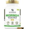 Amoseeds Moringa Oleifera BIO | Extra Forte | Zucchero nel sangue | 100% Naturale e Puro | 120 capsule vegane da 700mg | Qualità Superiore