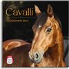 Imagicom Calendario 2024 da parete Cavalli, ideale per ufficio e casa, 12 mesi, 30x30 cm + poster regalo incluso.