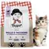 Gatto con Personalità Il Cibo Di Beppo - Cibo Secco Per Gattini- Crocchette Senza Cereali Di Alta Qualità: Grain Free E Senza Glutine - Alimento Completo - 1.5Kg (Tacchino con Pollo)