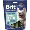 BRIT Premium Dog Dental Semi-moist Snack L 250 g snack dentale semi-umido per cani di taglia media e grande