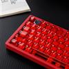 Sumgsn Set di 114 copritasti trasparenti in PC, profilo Cherry, compatibile con tastiere meccaniche con Switch Cherry MX, colore rosso trasparente