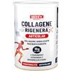 WHY SPORT COLLAGENE RIGENERA® ARTICOLAR- Collagene Idrolizzato Puro e Naturale - Con Magnesio, Vitamina C, Boswellia e MSM - Integratori Alimentari - Integratore Articolare - Gusto Neutro - 336 gr