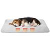 AQPET Coperta Autoriscaldante per Cani e Gatti - Tappetino Termico, Morbido e Anti-Scivolo, Calore Naturale Senza Elettricità, Lavabile - Ideale per Cuccioli e Animali Anziani, 90x60 cm Bianco