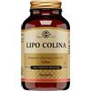 Solgar Lipo Colina Integratore Controllo Colesterolo 100 Capsule Vegetali