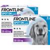 Frontline Spot On Cani Antiparassitario Contro Pulci, Zecche E Pidocchi 20-40Kg KIT 6 PIPETTE