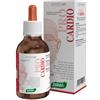 Santiveri PRO CARDIO ZEFIRUS 100 ML