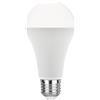 Intec KLASSIC-E27-19C LAMPADINA LED ATTACCO E27 19W 2452LM 3000K 140° 67X129mm 25000h CRI80