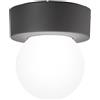 Intec PLAFONIERA SKITTLE ANTRACITE 1 LUCE ATTACCO E27 IP54 18X19,2CM DIFFUSORE SFERA BIANCO