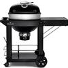 Napoleon Professional 22 Charcoal Cart a carbonella