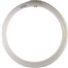 BOT LIGHTING Circolare trifosforo T9 22W 6500K - LR221T