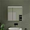 Parama Specchio contenitore 67x70cm 2 ante con illuminazione led superiore | Hadar