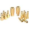 astarye Air Coupler Accoppiatore Aria Connettore Plug Kit 1/4 Raccordi Aria NPT Astarye 12 pezzi di Industriale Type D Connessione Rapida Set