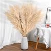 DATEFUN 10 Pezzi Pampas Decorative - DATEFUN Fiori Secchi Decorativi 100 cm - Piume Erba Della Pampas Naturali per Matrimoni, Boho Decor, Home Decor