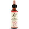 Schwabe Pharma Fiori di Bach - Star Of Bethlehem gocce, 20ml