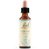 Schwabe Pharma Fiori di Bach Chicory, 20ml