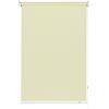 Gardinia Tenda a Rullo con Catenella Laterale, Installazione a Parete, soffitto o nicchia, Trasparente, Opaca, Kit di Montaggio Incluso, Champagne, 62 x 180 cm (LxA)