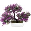 Verve Jelly Bonsai Artificiale Pino in Vaso Piante di Simulazione Pianta Artificiale Bonsai per Tavolo di Nozze Casa Balcone Decorazione per Ufficio Piante Artificiali Decorazione per la Casa Bonsai