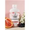 IL BUCATO DI ADELE spring party Profumatore concentrato per bucato in lavatrice, fragranza "SPRING PARTY", 1 flacone da 500 ml, NON TESTATO SU ANIMALI 100% VEGAN, MADE IN