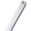 LEDVANCE OSRAM RADIUM Neon fluorescenteT8 18W 4000K - L18840