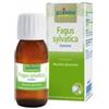 BOIRON SRL Fagus Sylvatica Boiron Macerato Glicerico 60 Ml