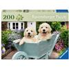 Ravensburger 12001368 Golden Retriever Anziani, con 200 Pezzi Extra Grip, Grande Immagine e Base per Puzzle