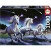 Educa - Puzzle 1000 pezzi Unicorni, Anne Stokes | Puzzle fantasy | Misura 68x48 cm | Include colla Fix | Per adulti 14+ (19919)