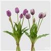 EDG Enzo De Gasperi Bouquet di 5 Tulipani Chiusi Gomma Olis Ass. H 40 Cm Lilac 1 Pz
