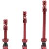 SYNCROS Valvole tubeless 80 mm