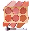 LYSdefeu Tavolozza blush con pennello per fard, 6 colori, opaca, resistente al sudore, non grassa e non grassa, per il trucco quotidiano, per la polvere pressata di Natale