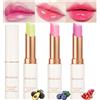HOPHAT Set di 3 rossetti in gelatina, balsamo labbra che cambia colore all'avocado, all'uva e al mirtillo, set di trucco labbra idratante a lunga tenuta (New 3PCSB)