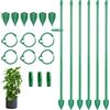 100 pezzi di clip trasparenti per piante da giardino, in plastica