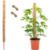 HMCEY Supporto Piante Rampicanti 120 cm,Supporto Monstera Deliciosa,Bastone di Muschio per Piante,Tutore Piantes Cocco,Bastone Cocco,Moss Pole Monstera con Corda Juta,Plant Support Stick per Giardino