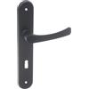 Aqbau® Set di maniglie per porta a piastra lunga, colore nero, maniglia per porta, maniglia per porta, maniglia per porta (BB Buntbart)