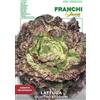Franchi Sementi BUSTA VIRIMAX SEMI LATTUGA QUATTRO STAGIONI