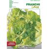 Franchi Sementi BUSTA VIRIMAX SEMI MISTICANZA DI INDIVIE E SCAROLE