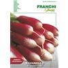 Franchi Sementi BUSTA VIRIMAX SEMI RAVANELLO FLAMBOYANT