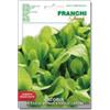 Franchi Sementi BUSTA MAXI MAGNUM SEMI CICORIA DA TAGLIO BIONDA A FOGLIE LARGHE