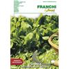 Franchi Sementi BUSTA MAXI MAGNUM CICORIA ZUCCHERINA DI TRIESTE