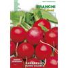 Franchi Sementi BUSTA MAGNUM SEMI RAVANELLO BURRO GIGANTE