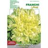 Franchi Sementi BUSTA MAGNUM SEMI INDIVIA SCAROLA BIONDA A CUORE PIENO