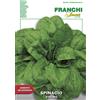 Franchi Sementi BUSTA MAGNUM SEMI SPINACIO VIKING