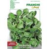 Franchi Sementi BUSTA MAGNUM SEMI VALERIANA VERTE DE CAMBRAI