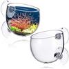 VANTOBEST 2 vasi per piante acquatiche in vetro trasparente con ventose, per piante vive, supporto per acquario, decorazione per acquario