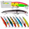 JasCherry Kit pesca realistiche, esche con occhi 3D, esche per ami, set di accessori da pesca, jig per acqua dolce e salata, 10 pezzi