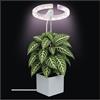 EMOS - Lampada a LED per piante d'appartamento e piante grasse - Lampada rotonda per orchidee con timer, regolabile in altezza - Luminosità 300lm - Cavo di ricarica USB-A da 1,7 m senza alimentatore