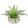 Flair Flower Felce artificiale in vaso da 20 cm Boston felce in vaso per piante, fiori come decorazione per piante verdi, piante artificiali