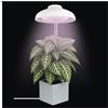 EMOS - Lampada a LED per piante d'appartamento e piante grasse - Lampada per la crescita con paralume con timer, regolabile in altezza - Luminosità 235lm - Cavo di ricarica USB-A da 1,5 m senza